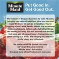 Minute Maid Apple Fruit Juice, 6 fl oz, 8 Juice Boxes