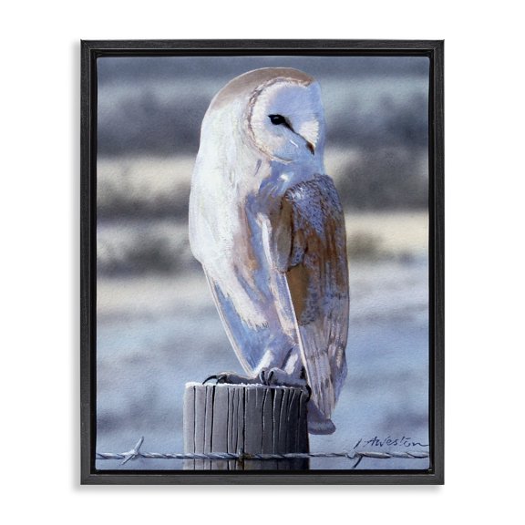 Stupell Industries Traditional Serene Barn Owl Perched Snow Dusted Fence Black Floating Frame Canvas Art, 17 x 21, by Alan Weston