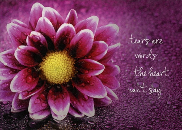 Eskimo Proverb Sympathy Greeting Card /& Envelope by Tree Free