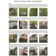 thumbnail image 5 of Juego De Chippes De Golf Interior Y Exterior Juego De Golf Plegable Cagas De Lanzamiento De Golf Plegable Kit De Equipos De Entrenamiento De Golf De Golf De Golf, 5 of 6