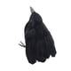 thumbnail image 5 of Decoración de cuervos de Halloween Decoración de Halloween Pájaros Cuervos artificiales Decoración para Estilo C, 5 of 9
