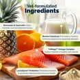 thumbnail image 6 of Vetnique DermaBliss Allergy & Itch Relief Soft Chews for Dogs, Hickory Salmon, 40ct, 6 of 13