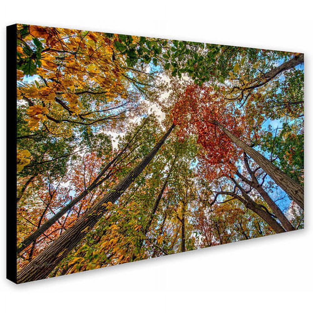 Trademark Fine Art "New York Fall-I" Canvas Art by David Ayash