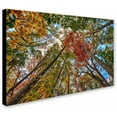 thumbnail image 2 of Trademark Fine Art "New York Fall-I" Canvas Art by David Ayash, 2 of 3