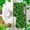 C, variant on St. Patrick's Day Shamrock & Plaid Themed Towel, 17.7x26in Irish Lucky Decorative Hand Towel Decor for Kitchen Bathroom Gifts