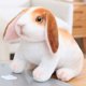 thumbnail image 1 of Conejo de peluche de orejas largas, juguete realista de conejo de Pascua, regalo para decoración del hogar, regalo para niñas y niños., 1 of 6