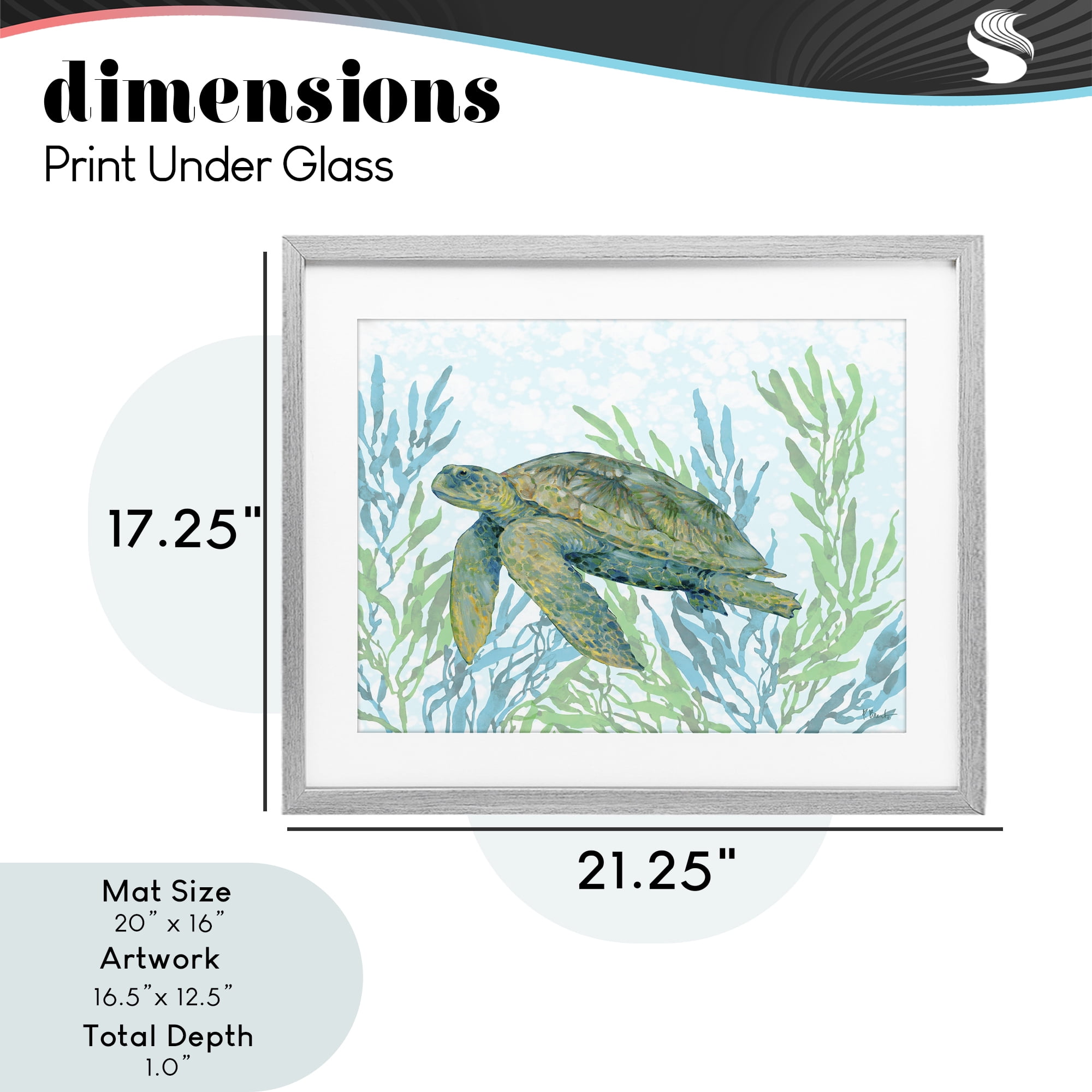 Stupell Industries Tasman Turtle in Seagrass Gray Framed Print Under Glass, design by Paul Brent