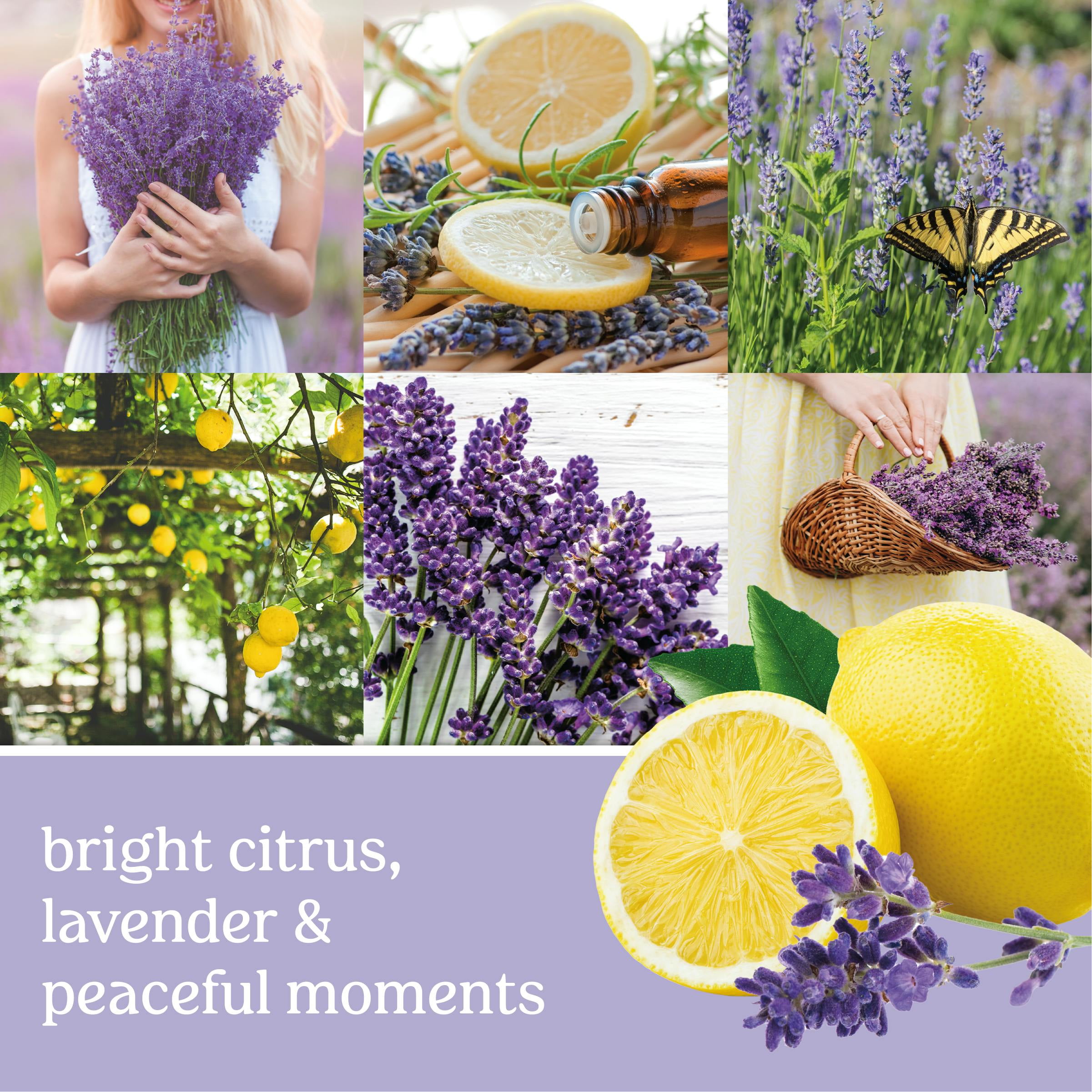Yankee Candle Signature Medium 2-Wick Candle, Lemon Lavender, 13 oz