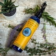 thumbnail image 3 of Nantucket Spider Deet-Free Original Natural Bug Repellent Spray, 1 Count, 8 oz, 3 of 4