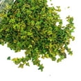 thumbnail image 1 of 33ml Miniature Feuille Statique Chemin de Fer de Sable Table Diorama Feuilles Modèle Chemin de Fer pour Ornements Vert B, 1 of 8