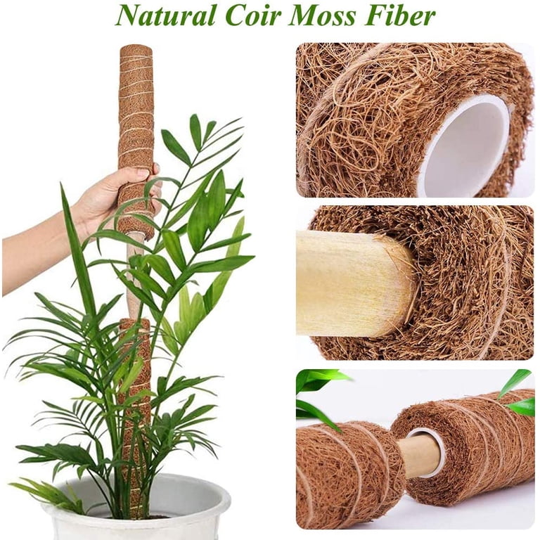 Visland Moss Pole, Stackable Support for Indoor/Outdoor Garden