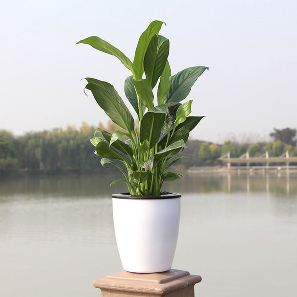 Maceta absorbente automática para flores, maceta verde de resina hidropónica, maceta de plástico de imitación de huevo de dinosaurio de color blanco y negro
