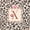 Brown X, variant on Catabedysis Brown Initial A 7-Piece Twin Bedding,Wild Leopard Print Bedding Comforter Set,Black Reversible For Girls
