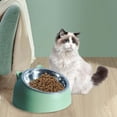 thumbnail image 5 of Dog Cat Bowl Raised Food Feeder Anti Slip Tilted Elevated Feeding Dish Container Green, 5 of 5