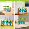 thumbnail image 6 of Plant Terrarium for Office Decor - Wooden Stand Tabletop Planter 3 Bulb Glass Vase Heart Shaped for Hydroponics Indoor Home, 6 of 7