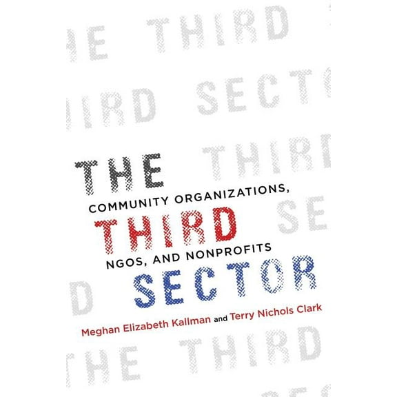 The Third Sector : Community Organizations, NGOs, and Nonprofits (Paperback)