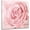 Pink, variant on Pink Bathroom Decor - Pink Rose Close Up Canvas Wall Art Blush Pink Room Decor Aesthetic Light Pink Bedroom Decor Pink Artwork for Home Walls Floral Wall Pictures for Bathroom Wrapped 14x14inch