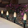thumbnail image 3 of Juego de estacas para luces navideñas HLO Lighting universal 12,7 cm, 3 of 8