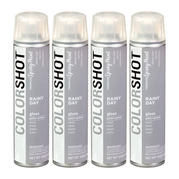 COLORSHOT Gloss Spray Paint, Rainy Day (Gray) 10 oz. 4 Pack, Fast-Drying Acrylic Paint, Indoor & Outdoor Use