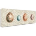 thumbnail image 2 of Trademark Fine Art "Spiced Nature XIII" Canvas Art by Lisa Audit, 2 of 3