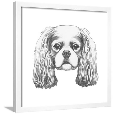 Tri Cavalier King Charles Spaniel - Portrait of Cavalier King Charles Spaniel. Hand Drawn Illustration. Framed Print Wall Art By victoria_novak