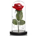 thumbnail image 1 of Rosas eternas en cristal Regalos de cumpleaños Día de la madre, 1 of 4