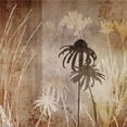 thumbnail image 2 of Great Art Now Floral A by Tandi Venter, Framed Wall Art, 20W x 20H, 2 of 3
