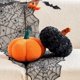 thumbnail image 1 of wonima44 Halloween Pumpkin Pillow, 2 Pcs Cute Pumpkin Shaped Throw Pillow, Fall Room Decor 3D Pumpkin Plush Pillow for Halloween Thanksgiving Bedroom Sofa Couch(11 inch, Orange+Black), 1 of 1