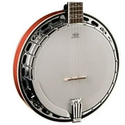 Washburn 5 String Remo Head Banjo w/ Case - Tobacco Sunburst - B16K-D-U