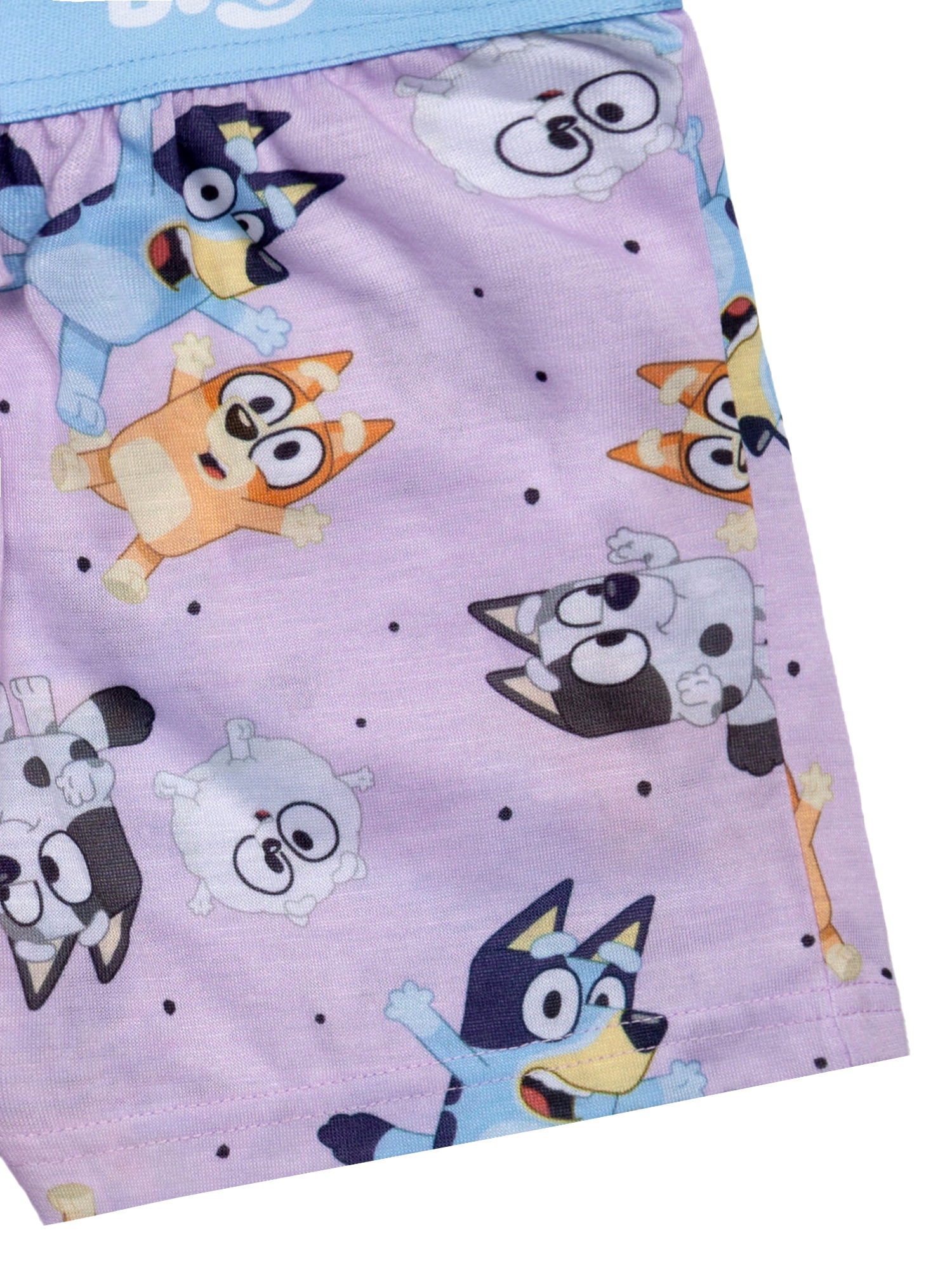 Bluey Girls 2-Piece Jersey Short Sleeve Top and Short, Sizes 4-12