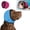 C, variant on Noise Cancelling Ear Wrap, Quiet Comfort Calming Hood for Dogs with Sound-Blocking Rubber Pads for Firework and Thunder Protection, Adjustable Band
