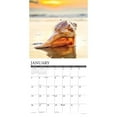 thumbnail image 3 of Willow Creek Press, Seashells 2025 Wall Calendar, 3 of 4