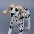 thumbnail image 4 of Pet Wig Photography Prop For Cats And Dogs Funny Hair Accessory With For Cute And Hilarious Looks, 4 of 8