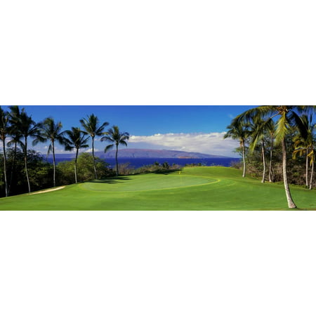 Palm Trees in a Golf Course, Wailea Emerald Course, Maui, Hawaii, Usa Print Wall Art By Panoramic
