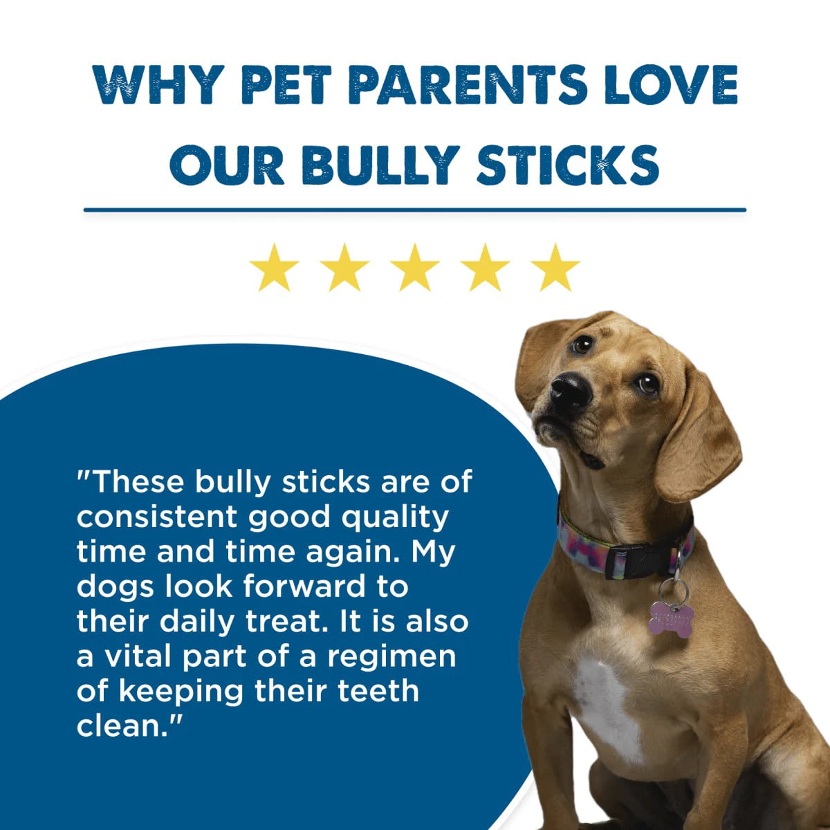 Best Bully Sticks Supreme All-Natural Bully Stick Dog Treats (12 Inch Supreme Sticks, 50 Pack)