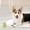 B-3 (3-Pack), variant on (3-Pack)indestructible Dog Toys Super Chew Bones for Large Dogs Chewer Dog Toys Chew Dog Toys for Medium and Large interactive Dog Toys Gift for Medium Dog Large Dogs Breed Heavy Duty Dog