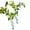 H, variant on Twinkling Tree Olive Light Olive Garland With Warm White LED Artificial With Lights For Bedroom Living Wedding Indoor Outdoor Home Battery Operated