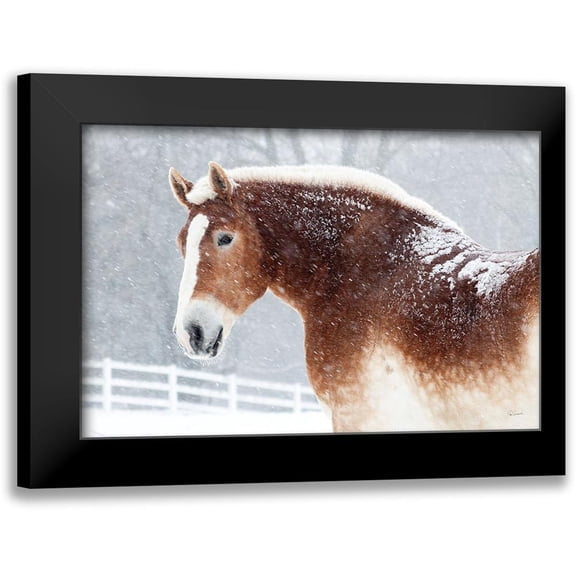 Schlabach, Sue 14x11 Black Modern Framed Museum Art Print Titled - Snowy Draft Horse