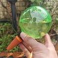 6Pcs Plant Watering Globes Set Watering Globes for Indoor Plant Flowers ...