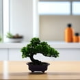 thumbnail image 3 of LABSERRON Lifelike Shape Desktop Bonsai Tree Simulation Bonsai Plastic Decoration 1Set, 3 of 8
