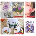 thumbnail image 4 of Juego de flores secas Yuarrent herramientas artesanías de maquillaje calcomanía de flores reales, 4 of 6