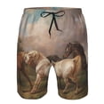 thumbnail image 3 of Goofa Three Horses Oil Painting Printed Mens Swim Trunks Summer Quick Dry Short Beach Swimwear Bathing Suits-XX-Large, 3 of 9