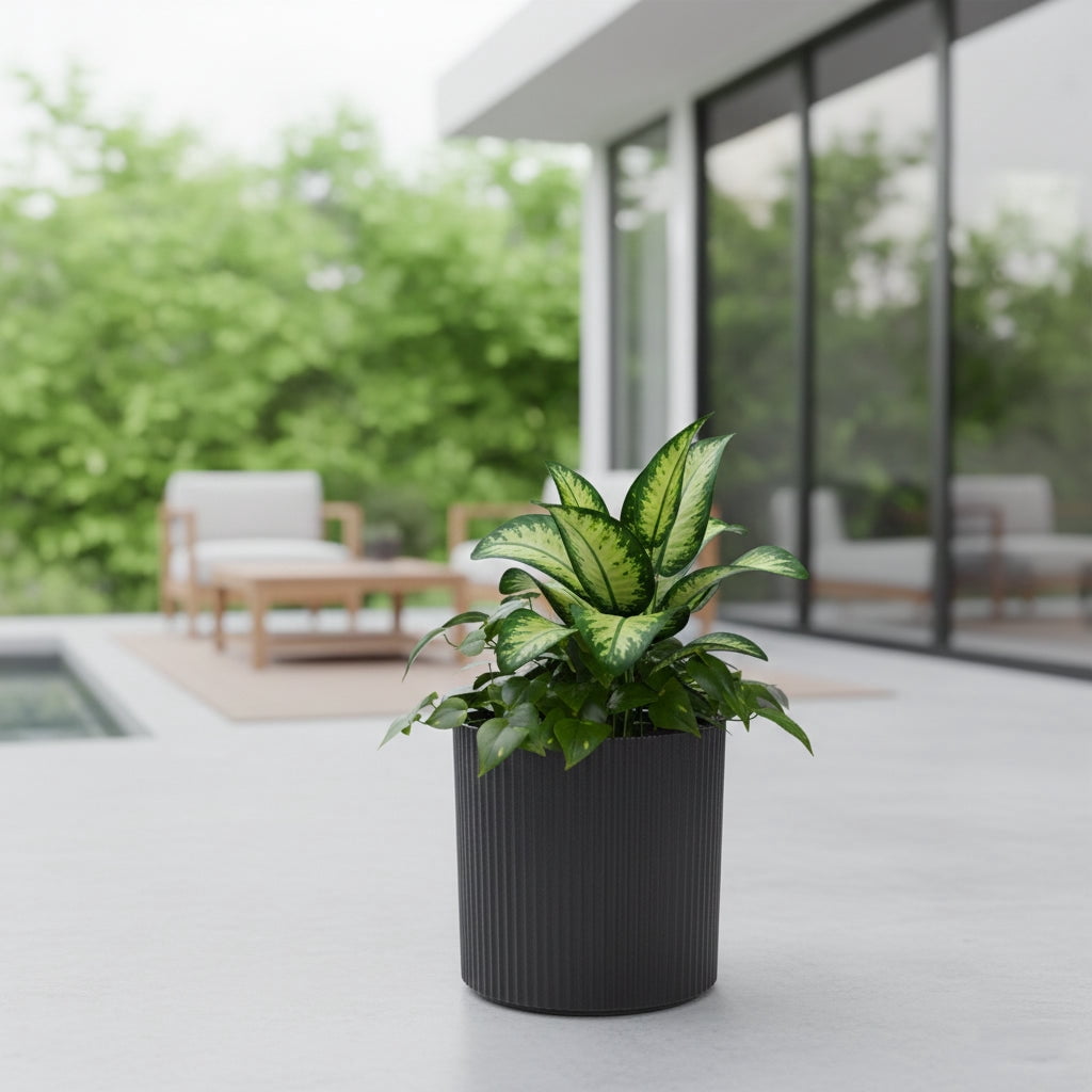 Serene 10in DIA x 10in H Round Black Plastic Plant Planter with Drainage Holes