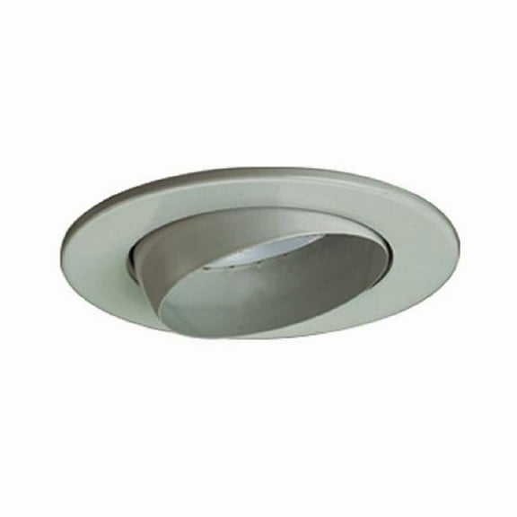 Line Voltage Adjustable Eyeball Trim 5 in. Satin Chrome Finish