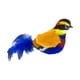 thumbnail image 4 of Juguete para gatos Yinane Sonido de pájaro que chirría Juguete de peluche interactivo realista Azul y Amarillo, 4 of 8