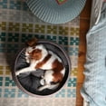thumbnail image 3 of Keter by Curver Knit Cozy Resin Plastic Pet Bed for Small Dogs and Medium-Sized Cats, Sandy Beige, 3 of 5