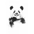 thumbnail image 2 of Solti, Balazs 17x24 White Modern Wood Framed Museum Art Print Titled - Funny Panda, 2 of 4