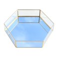 thumbnail image 1 of S SERENABLE Artistic Clear Glass Jewelry Box Plant Terrarium Display Planter, 1 of 6