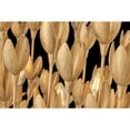 thumbnail image 4 of 30011BNG Hinkley Lighting Flora - 15W 3 LED Medium Pendant In Bohemian Style-16 Inches Tall and 20 Inches Wide-Burnished Gold Finish, 4 of 16