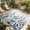 Lnk blue, variant on Grey Botanical Outdoor Rug for Patio/Deck/Porch, Non-Slip Large Area Rug 3 x 5 Ft, Dragonfly Flower Leaf Retro Ink Style Indoor Outdoor Rugs Washable Area Rugs, Reversible Camping Rug Carpet Runner